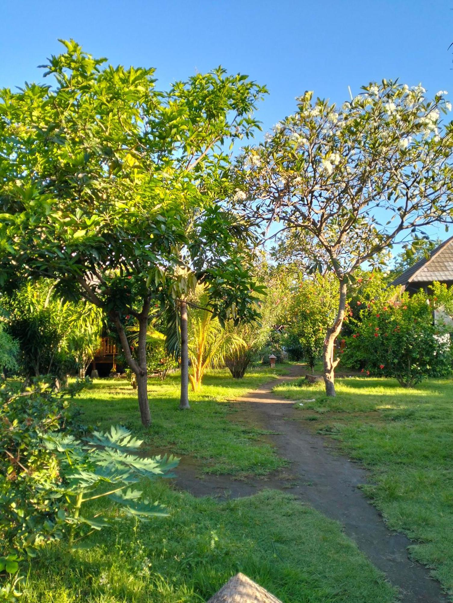 Tangga Bungalows غيلي آير الغرفة الصورة