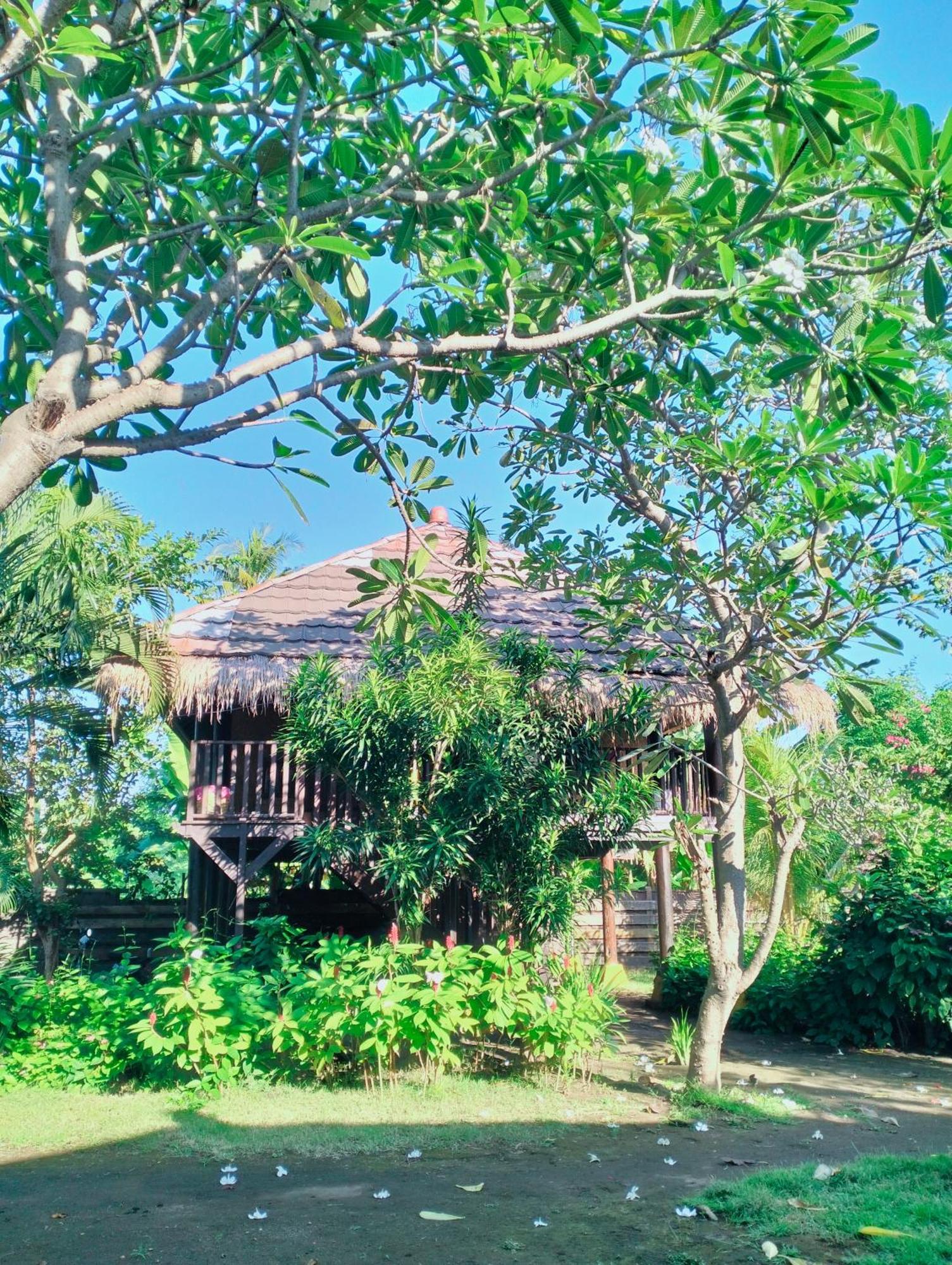 Tangga Bungalows غيلي آير الغرفة الصورة