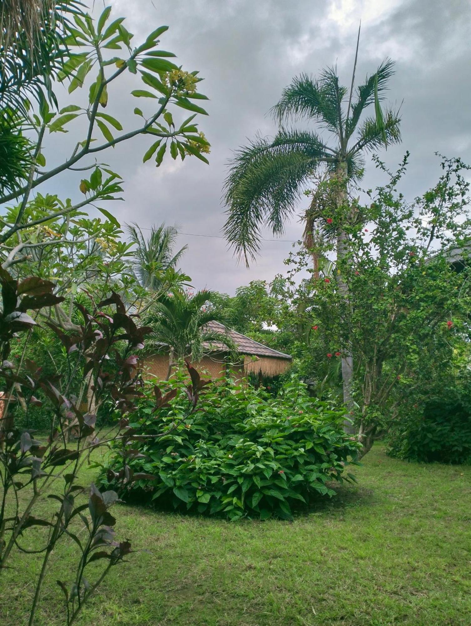 Tangga Bungalows غيلي آير الغرفة الصورة