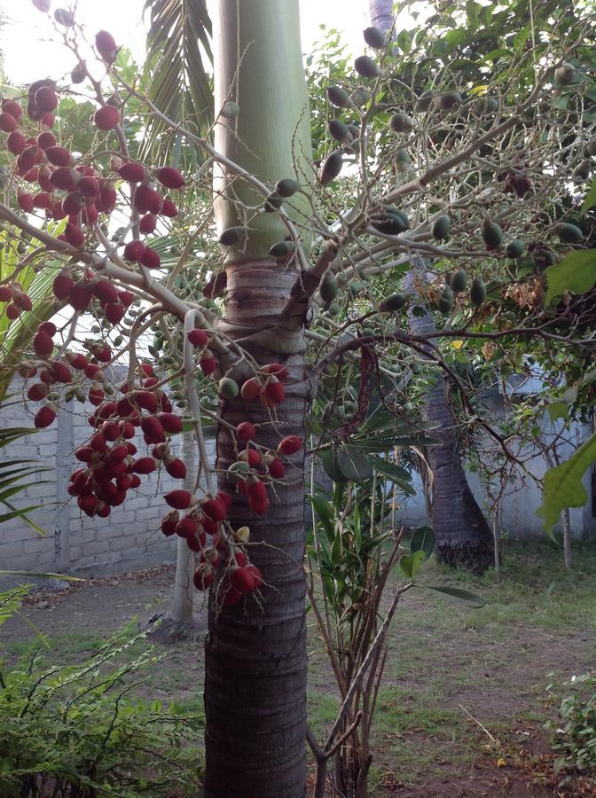 Tangga Bungalows غيلي آير المظهر الخارجي الصورة